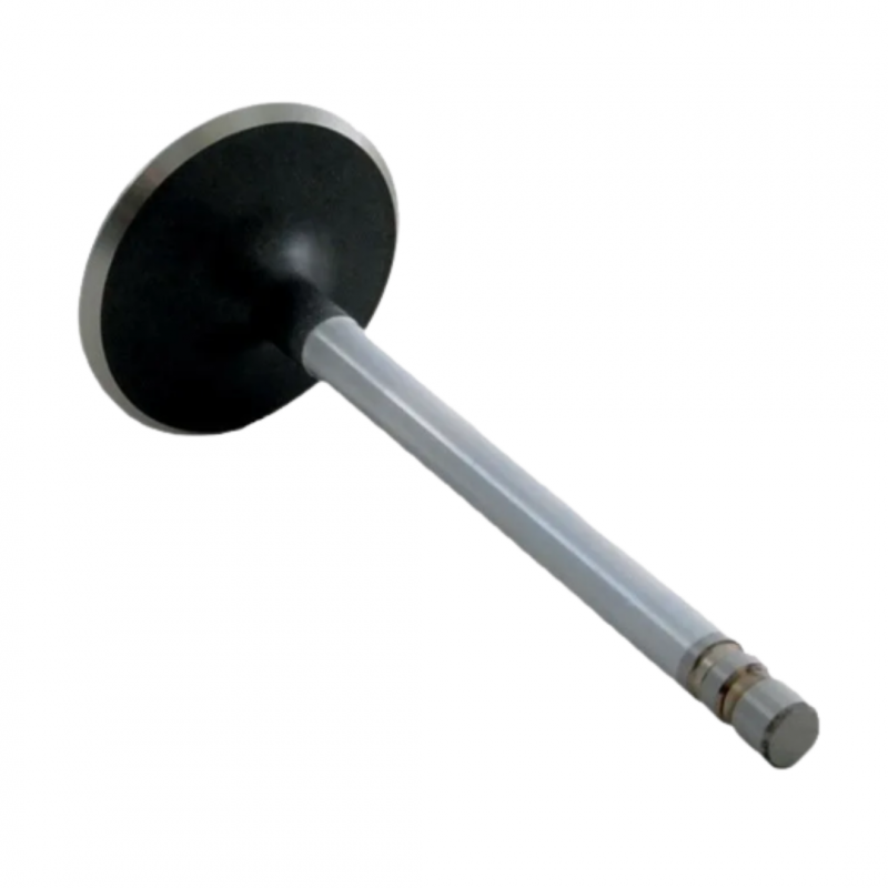 Valvula admision 2 ranuras Gm 3.0L 181CID 3857879 / 97661