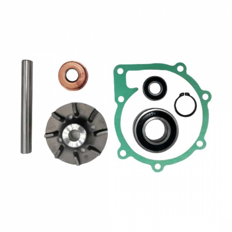 kit reparacion bomba agua volvo D31/41/42/43/44/300 876794
