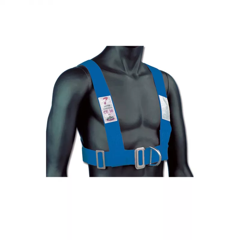 ARNES SEGURIDAD ADULTO