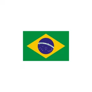 BANDERA BRASIL 100*70