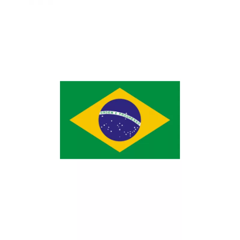 BANDERA BRASIL 100*70