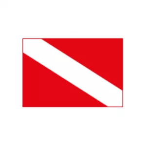 BANDERA BUCEO  45x30