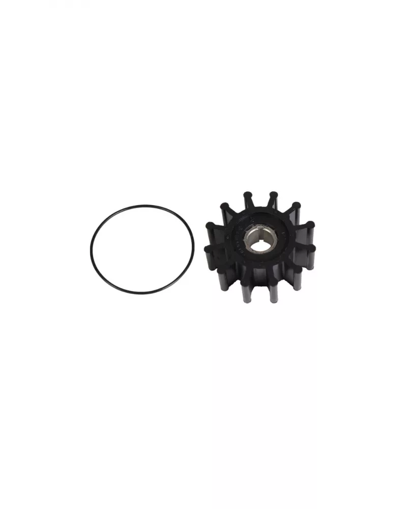 Kit impulsor 541-1519 ONAN