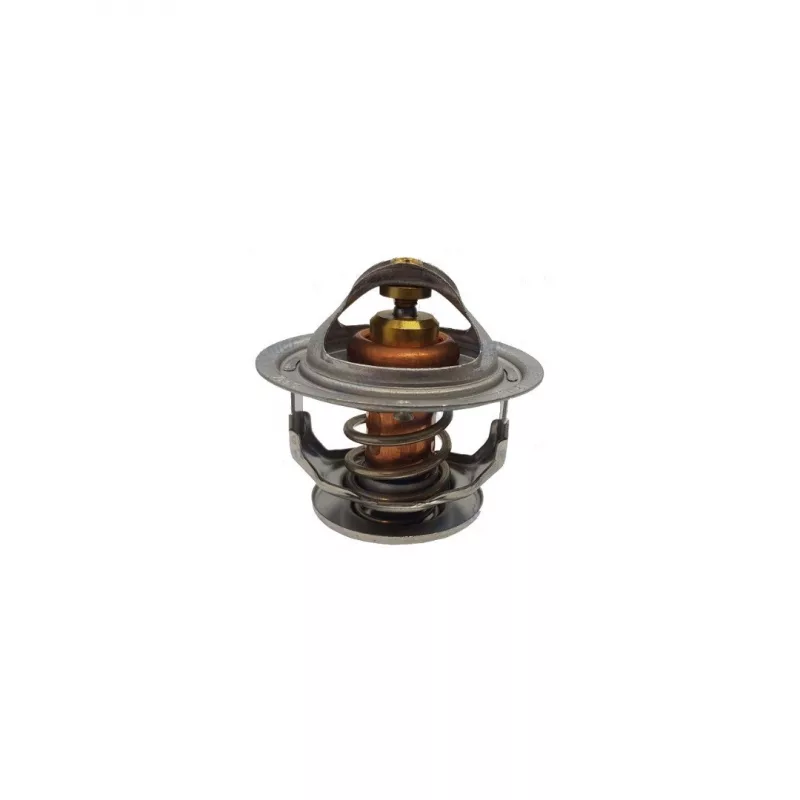 Termostato 76.5º Yanmar 6LY/6LYA 119593-49550