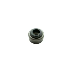Retén válvula para motor Yanmar 1GM / 2GM20 / 3GM30 124950-11340