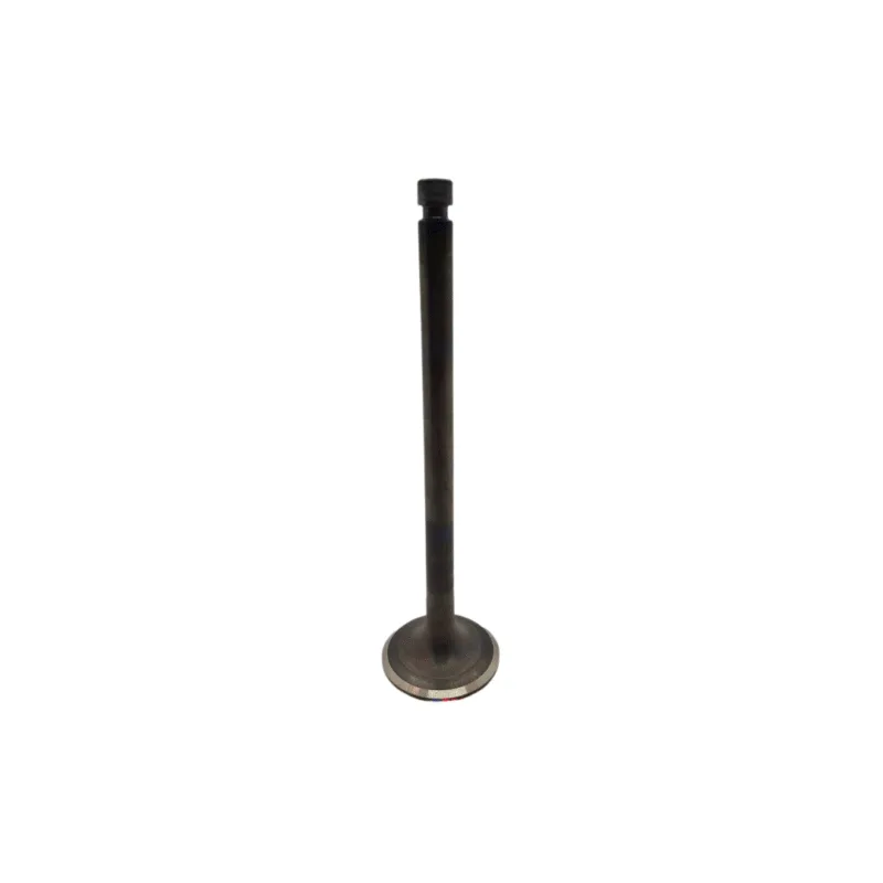 Válvula admisión para motor Yanmar 6GHA-ET / -ST / -STE / 6GHAK-ST1 / 6GHAM-STE / 6GHD-ST 128619-11100