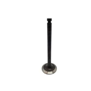 Válvula admisión para motor Yanmar 4JH / 4JH3-DTE / 4JH3-HTE 129120-11100