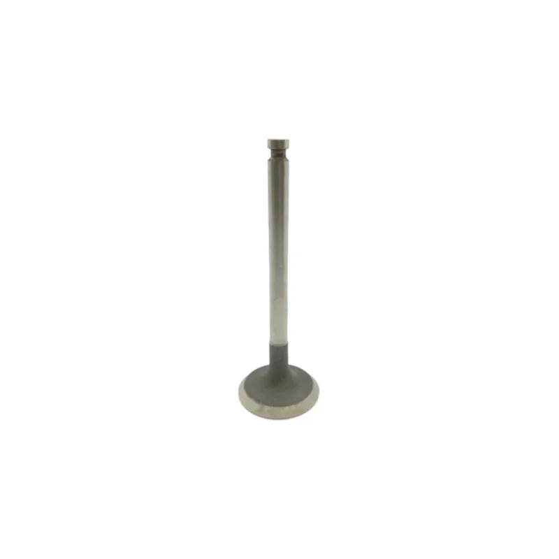 Válvula admisión para motor Yanmar YSM12 / YSB12 / YSE12 104511-11100