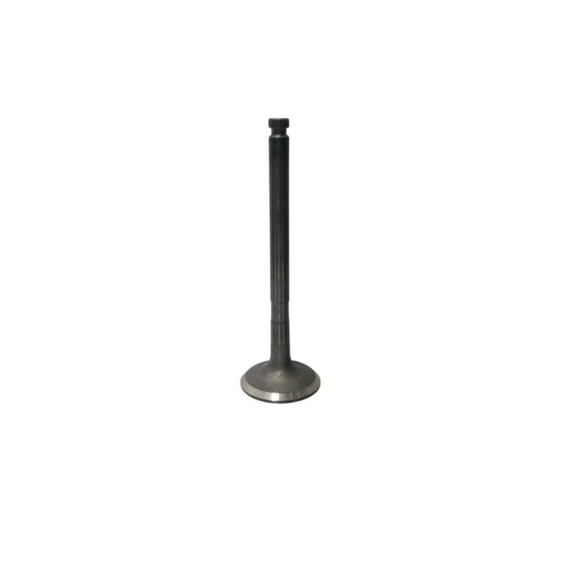 Válvula escape para motor Yanmar 4LH / 4LHA 119171-11110