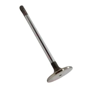 Válvula Admisión Volvo AQ171 251A B25 1317793