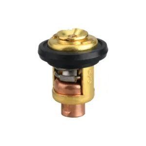 Termostato 60ºC 66M-12411-01 Yamaha 19300-ZW9-003 Honda 3R3-01030-0 Tohatsu