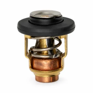 Termostato 60 grados para fueraborda Yamaha 6AH-12411-00
