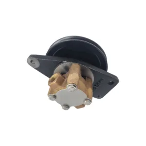 Bomba de agua Onan G8002 Sherwood