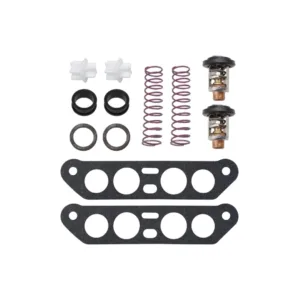 Kit termostatos para Johnson  Evinrude V4 Crossflow