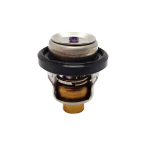 Termostato 72ºc para Johnson y Evinrude / Suzuki 40 - 70 HP 17670-87J00