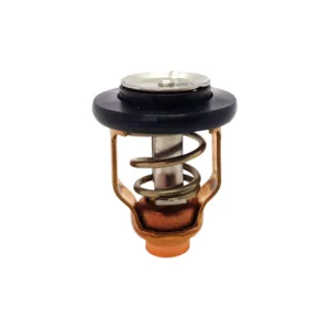 Termostato 71º para Johnson y Evinrude / Suzuki 17670-90J10