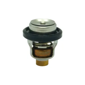 Termostato 60ºc para Johnson y Evinrude / Suzuki 9,9 HP 15 HP 25 HP 40 HP 50 HP 60 HP 17670-94402