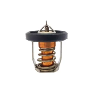 Termostato 60ºc para Johnson y Evinrude / Suzuki DF8A 9.9 15 20 25 30A 17670-94J01