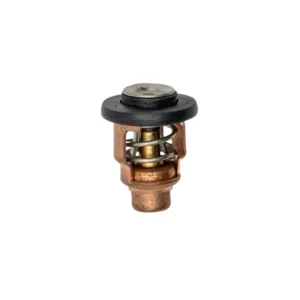Termostato 50º para Yamaha  115 150 200 225 250 / Honda 6E5-12411-30