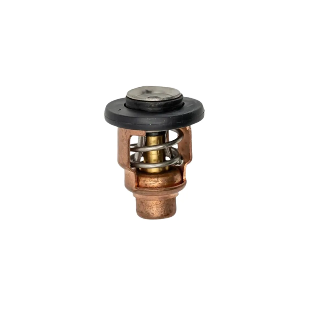 Termostato 50º para Yamaha 115 150 200 225 250 / Honda 6E5-12411-30