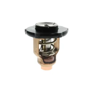 Termostato 60º para Parsun Yamaha F115B / F130A - 6EK-12411-00